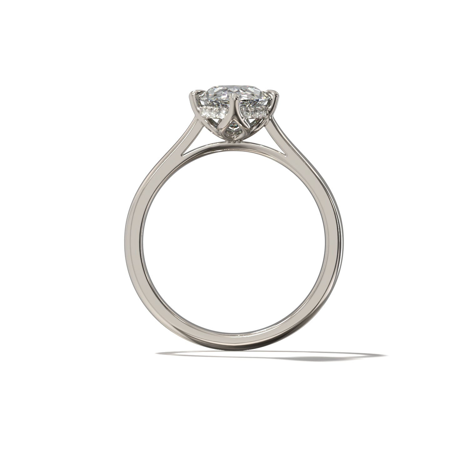 OVAL TULIP CATHEDRAL NORTH SOUTH HIDDEN HALO