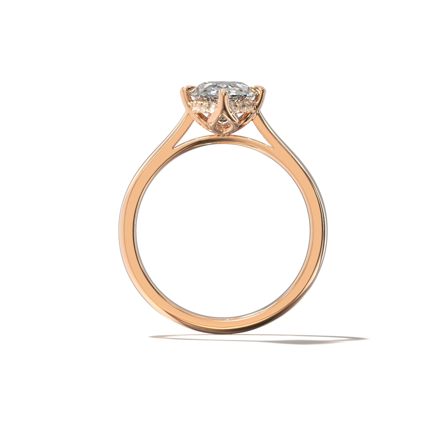 OVAL TULIP CATHEDRAL NORTH SOUTH HIDDEN HALO