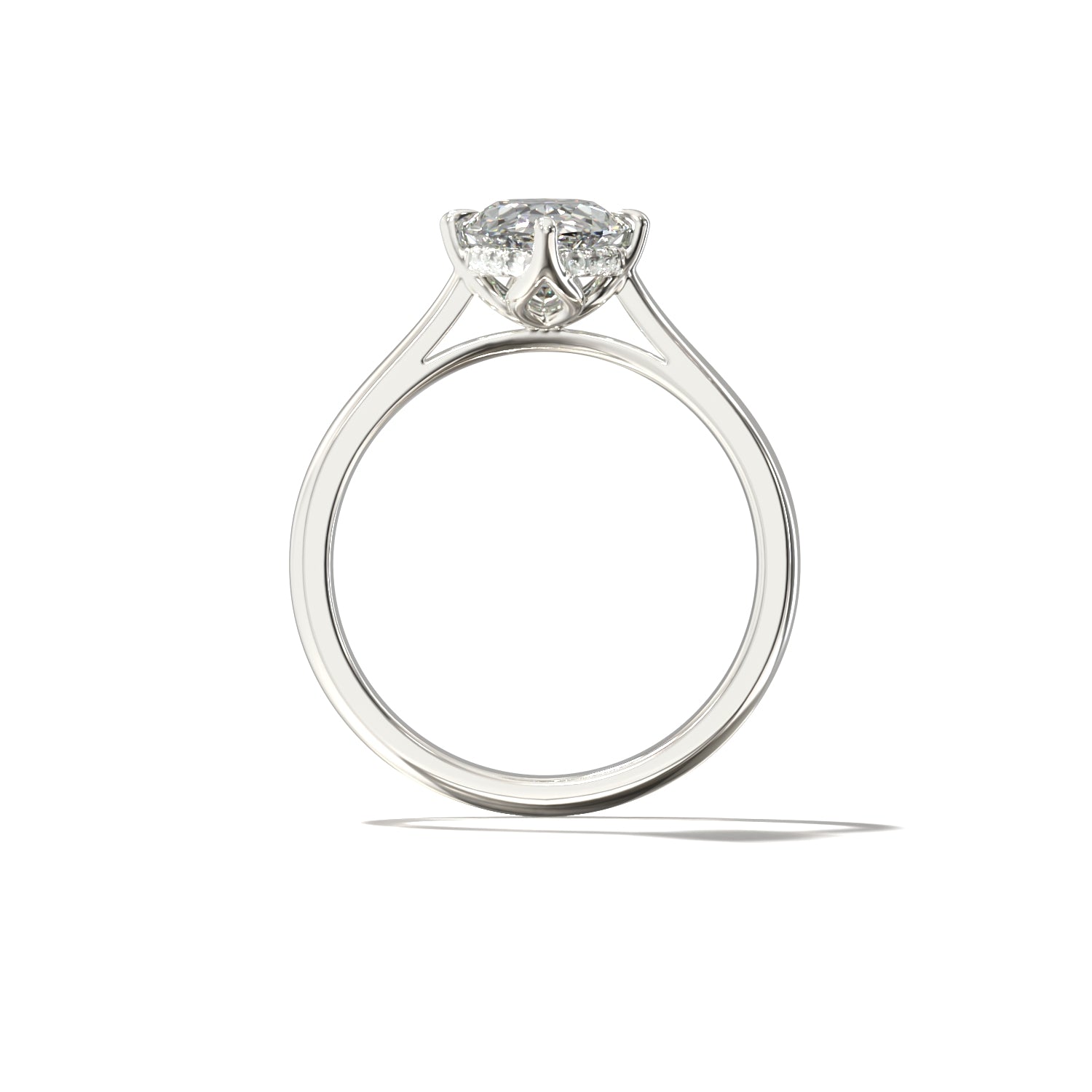 OVAL TULIP CATHEDRAL NORTH SOUTH HIDDEN HALO