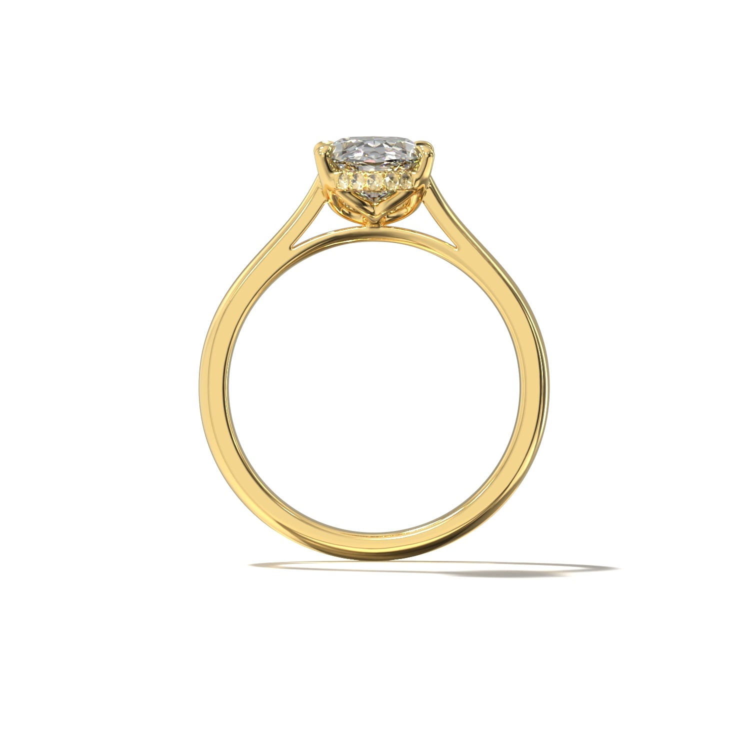 OVAL TULIP CATHEDRAL HIDDEN HALO