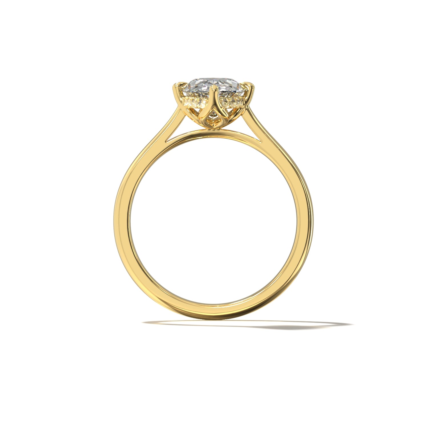 OVAL TULIP CATHEDRAL NORTH SOUTH HIDDEN HALO